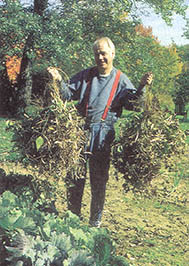 Author Mort Mather displaying two handfuls of black turtle bean plants, among his picks for best vegetables of the year.